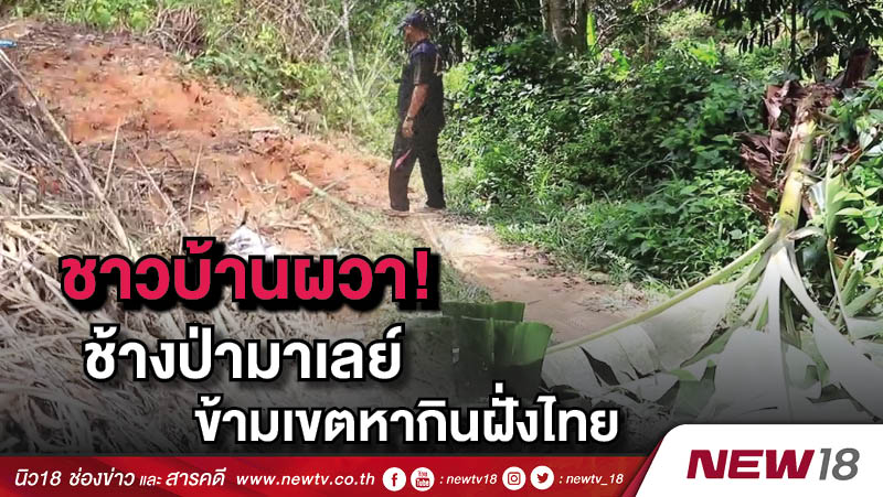 ชาวบ้านผวา! ช้างป่ามาเลย์ข้ามเขตหากินฝั่งไทย