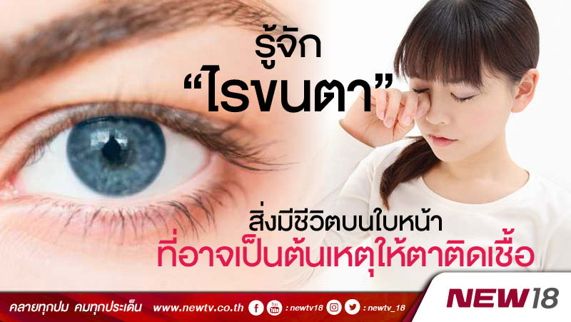 รู้จัก “ไรขนตา” สิ่งมีชีวิตบนใบหน้าที่อาจเป็นต้นเหตุให้ตาติดเชื้อ