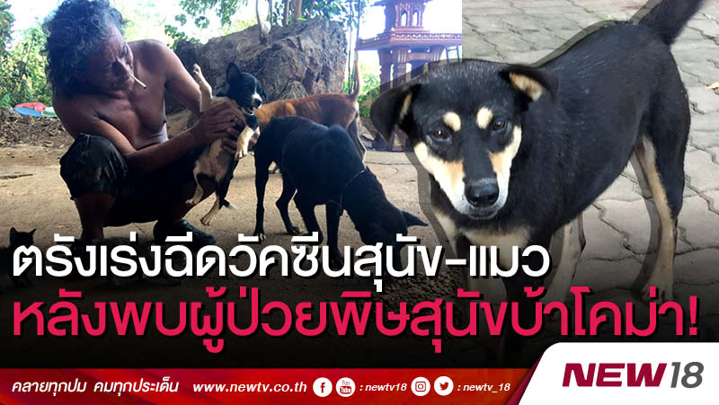 ตรังเร่งฉีดวัคซีนสุนัข-แมว หลังพบผู้ป่วยพิษสุนัขบ้า โคม่า! (คลิป)