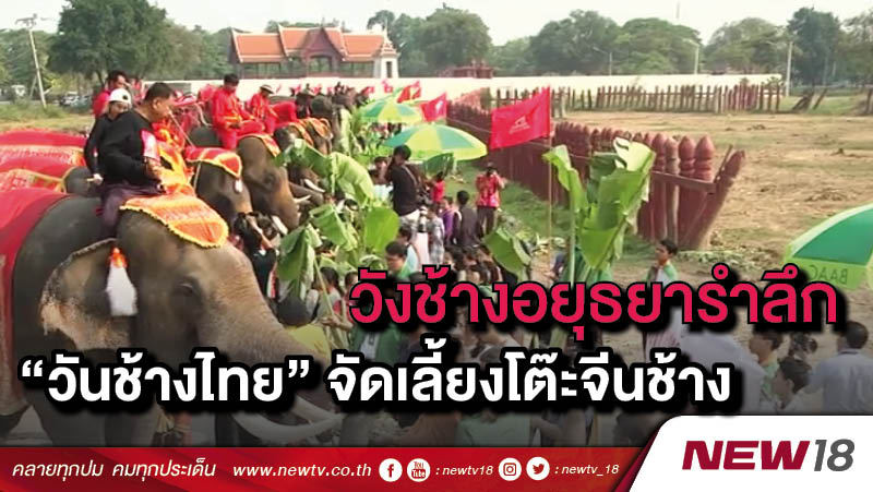 วังช้างอยุธยารำลึก “วันช้างไทย” จัดเลี้ยงโต๊ะจีนช้าง 