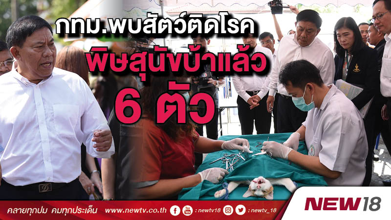  กทม.พบสัตว์ติดโรคพิษสุนัขบ้าแล้ว 6 ตัว 