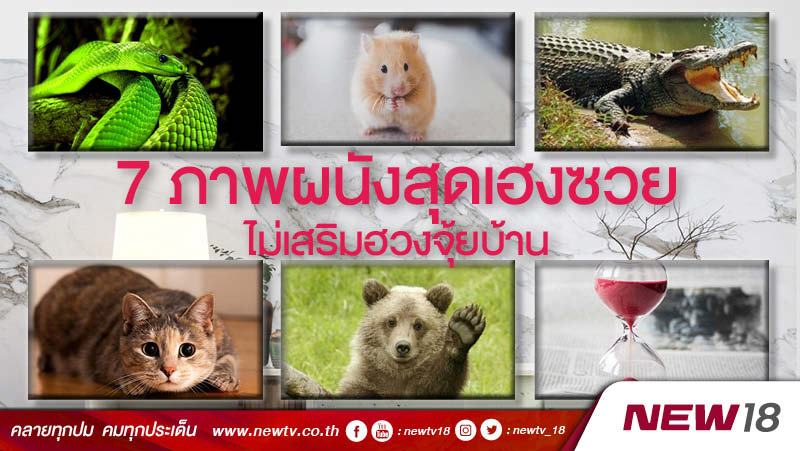 7 ภาพผนังสุดเฮงซวย ไม่เสริมฮวงจุ้ยบ้าน