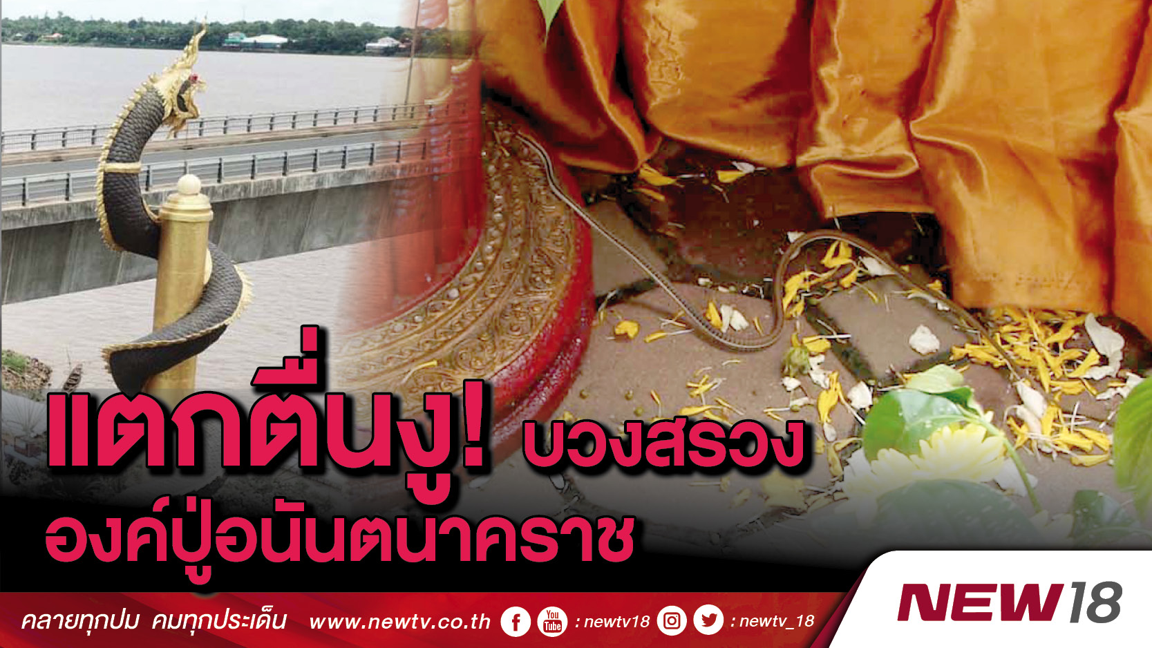 แตกตื่นงู! บวงสรวงองค์ปู่อนันตนาคราช