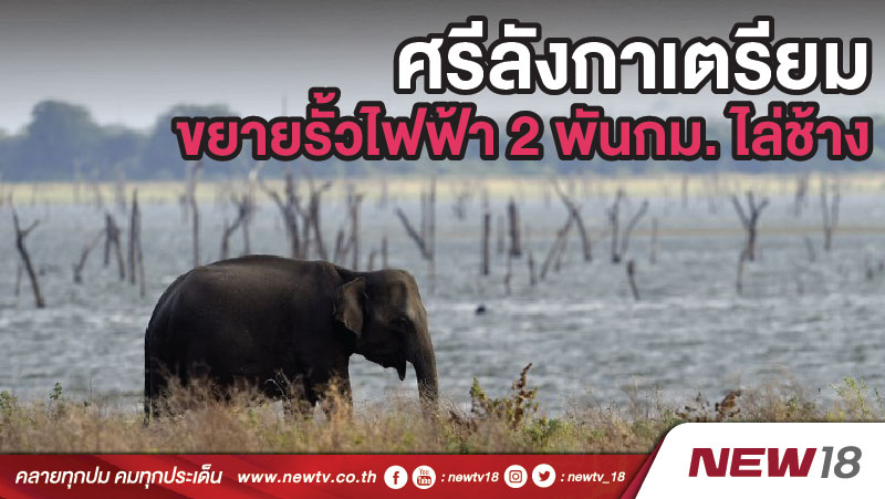 ศรีลังกาเตรียมขยายรั้วไฟฟ้า 2 พันกม. ไล่ช้าง