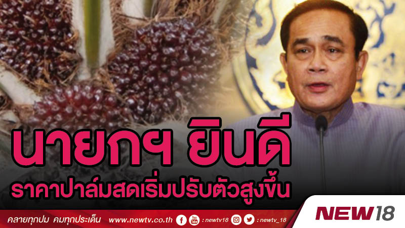 นายกฯ ยินดีราคาปาล์มสดเริ่มปรับตัวสูงขึ้น