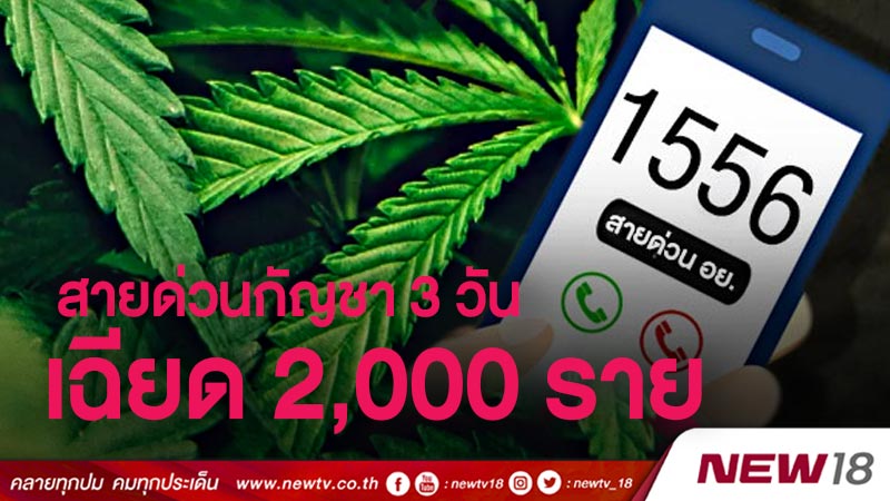 อย.เผยโทรสายด่วนกัญชา 3 วันเฉียด 2,000 ราย