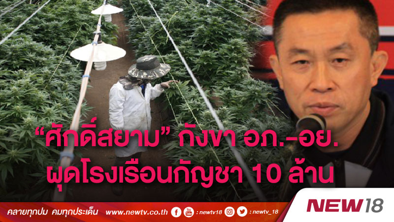 “ศักดิ์สยาม” กังขา อภ.-อย. ผุดโรงเรือนกัญชา 10 ล้าน