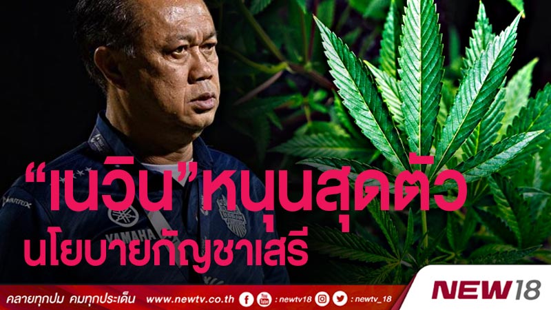 “เนวิน”หนุนสุดตัวนโยบายกัญชาเสรี 