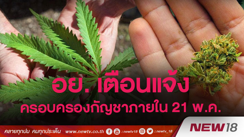 อย. เตือนแจ้งครอบครองกัญชาภายใน 21 พ.ค.