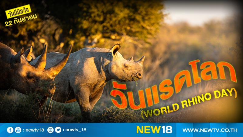 วันนี้มีอะไร: 22 กันยายน วันแรดโลก (World Rhino Day)