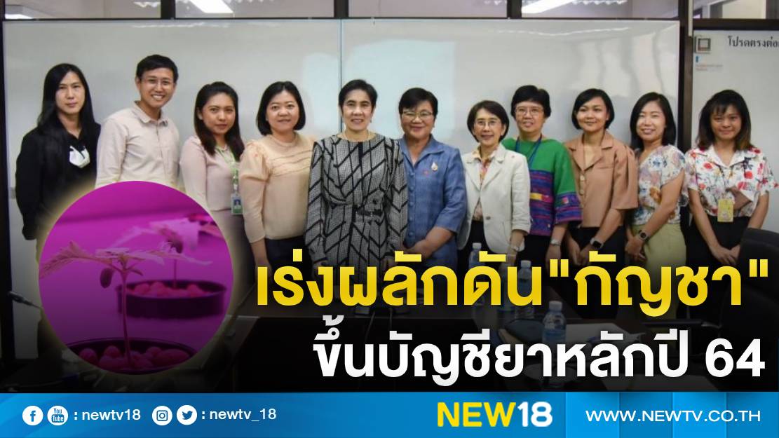 "อย.-อภัยภูเบศร"เร่งผลักดัน"กัญชา"ขึ้นบัญชียาหลักปี 64 