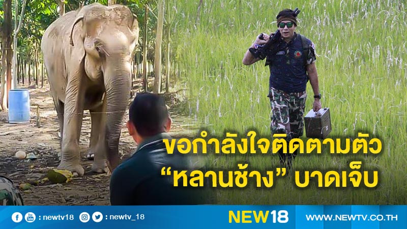 “หมอล็อต” โพสต์ขอกำลังใจติดตามตัว “หลานช้าง” ถูกรถชนบาดเจ็บ พร้อมเข้าช่วยเหลือด่วน!