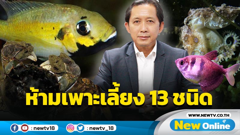 ห้ามเพาะเลี้ยงสัตว์น้ำ "เอเลียนสปีชีส์"  13 ชนิด (มีคลิป)