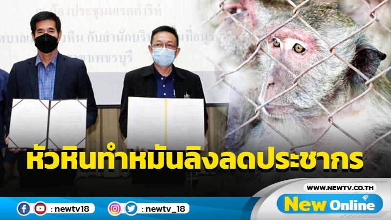 หัวหินทำหมันลิงหวังลดประชากร