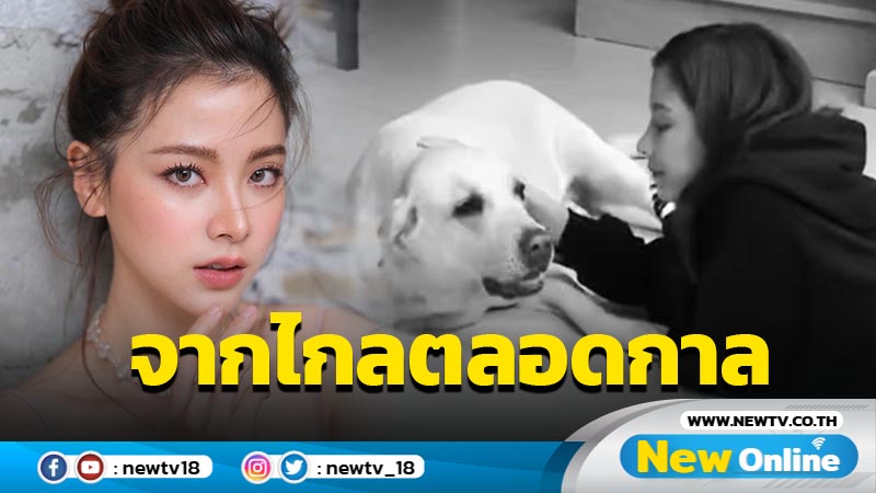 ผูกพันราวเพื่อนรัก "ใบเฟิร์น" สุดสะเทือนใจ สูญเสียสิ่งรักไปตลอดกาล 