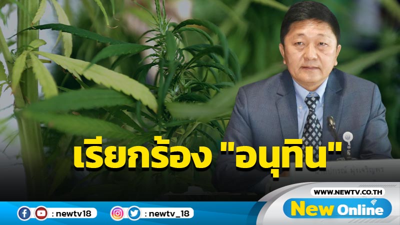 กมธ.เรียกร้อง "อนุทิน" ดึงกัญชาพ้นยาเสพติด