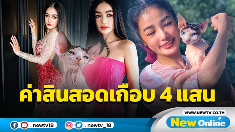 ปรบมือในความบ้าแมวสฟิงซ์ “กระแต” เปิดตัวลูกสาวตัวใหม่ ทุ่มค่าสินสอดเกือบ 4 แสน