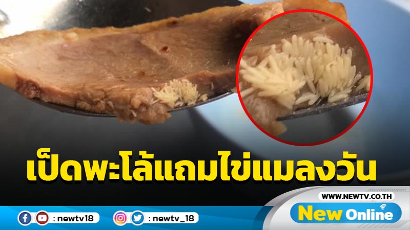 อิหยังวะ! สาวสั่งเป็ดพะโล้เจอไข่แมลงวันเจ้าของร้านเกรี้ยวกราดใส่ 