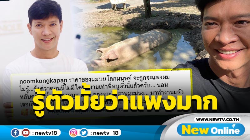 ชิวมาก "หนุ่ม คงกะพัน" เผยภาพหมูวัดหลับตาแช่น้ำสุดสบายใจ