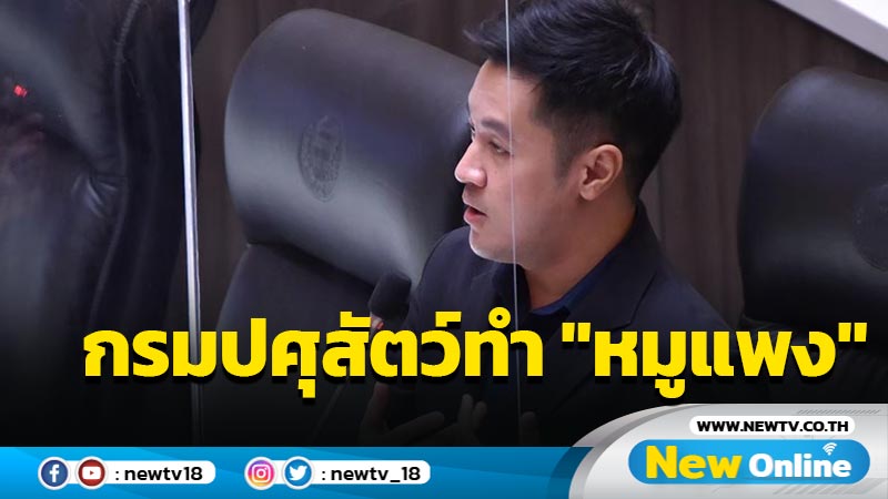 "หมออ๋อง"หดหู่กรมปศุสัตว์ปกปิด ASF ทำ "หมูแพง"