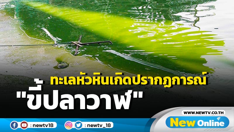 ทะเลหัวหินเกิดปรากฏการณ์ "ขี้ปลาวาฬ"