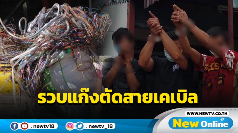 รวบยกแก๊งตระเวนตัดสายเคเบิล (มีคลิป)