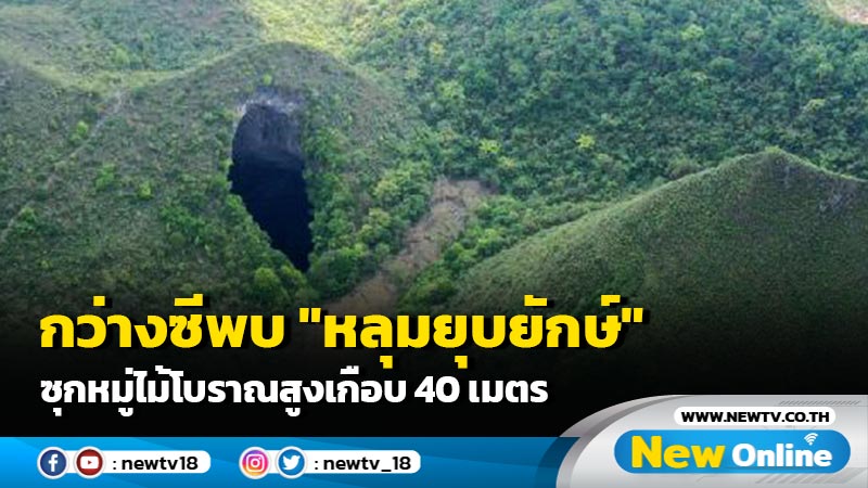 กว่างซีพบ "หลุมยุบยักษ์" ซุกหมู่ไม้โบราณสูงเกือบ 40 เมตร