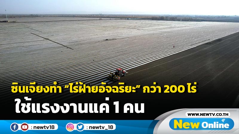 ซินเจียงทำ "ไร่ฝ้ายอัจฉริยะ" กว่า 200 ไร่ ใช้แรงงานแค่ 1 คน