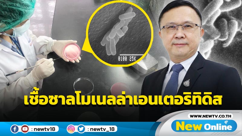 กรมวิทย์ตรวจพบ "เชื้อซาลโมเนลล่า เอนเตอริทิดิส" เพิ่มขึ้น