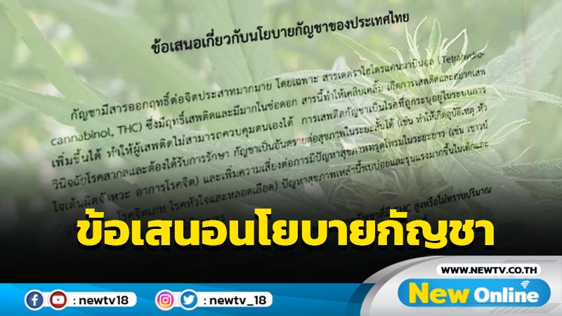 องค์กรแพทย์เสนอใช้กัญชาอย่างถูกวิธีค้านใช้เพื่อนันทนาการ