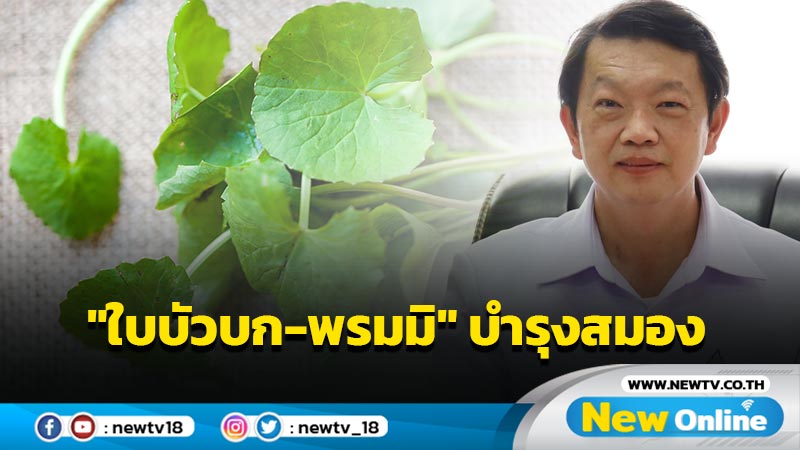 สรรพคุณ "ใบบัวบก-พรมมิ" ช่วยบำรุงสมองป้องกัน "อัลไซเมอร์" 