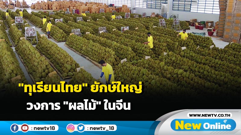 "ทุเรียนไทย" กุญแจนำทางยักษ์ใหญ่วงการ "ผลไม้" ในจีนสู่ความมั่งคั่ง