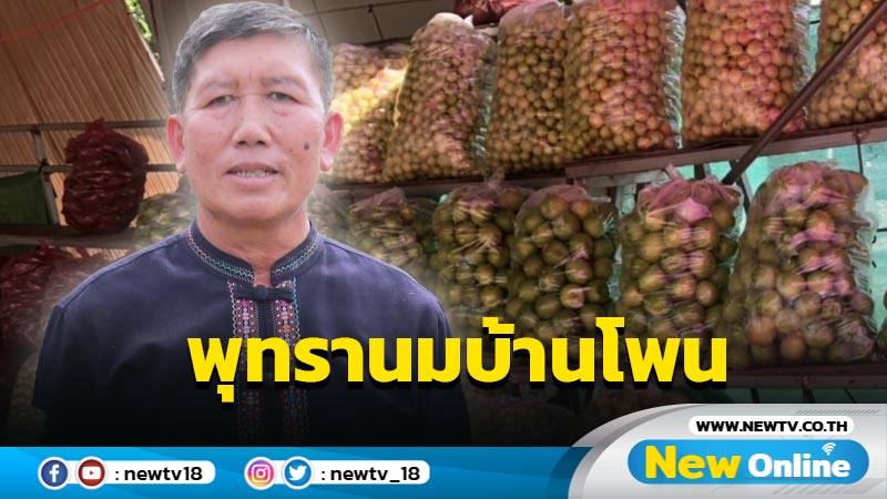 "พุทรานมบ้านโพน"ออกสู่ตลาดแล้ว ตั้งเป้ายอดขาย 100 ล้าน (มีคลิป)