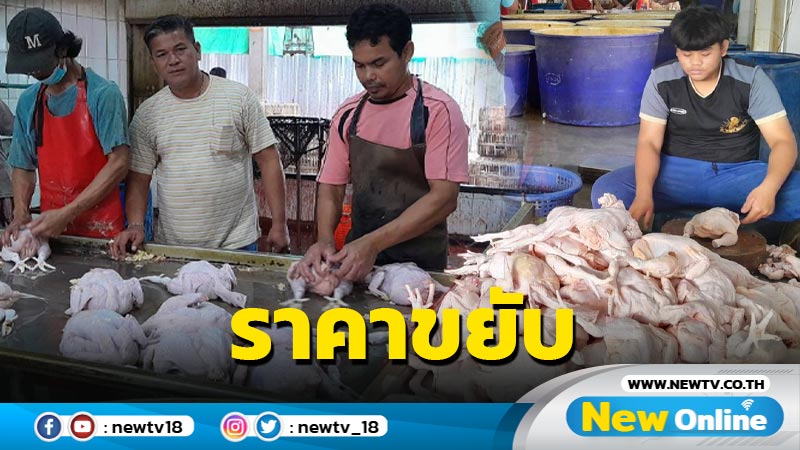 ราคาไก่สดขยับตัวสูงขึ้นช่วงเทศกาลตรุษจีน (มีคลิป)