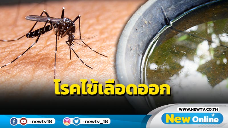 Dengue fever is a viral infection transmitted by mosquitoes, affecting both children and adults with potential severe symptoms such as bleeding, plasma leakage, and organ failure. The outbreak has decreased during the COVID-19 pandemic.