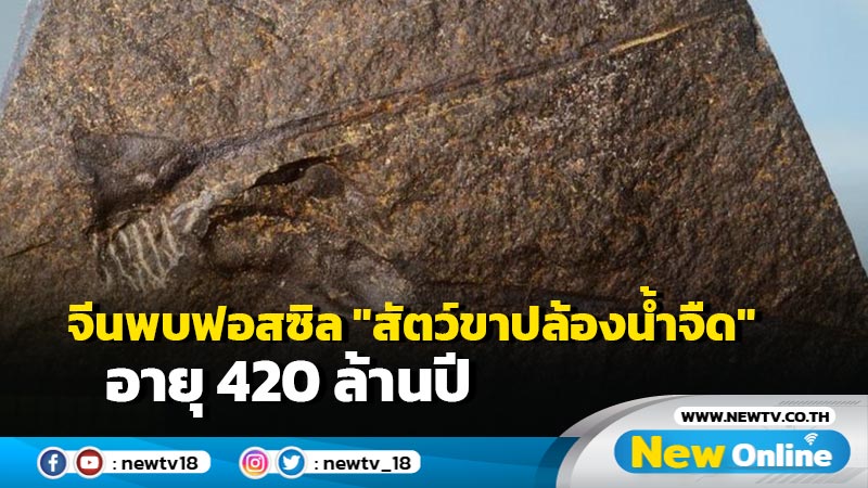 จีนพบฟอสซิล "สัตว์ขาปล้องน้ำจืด" อายุ 420 ล้านปี