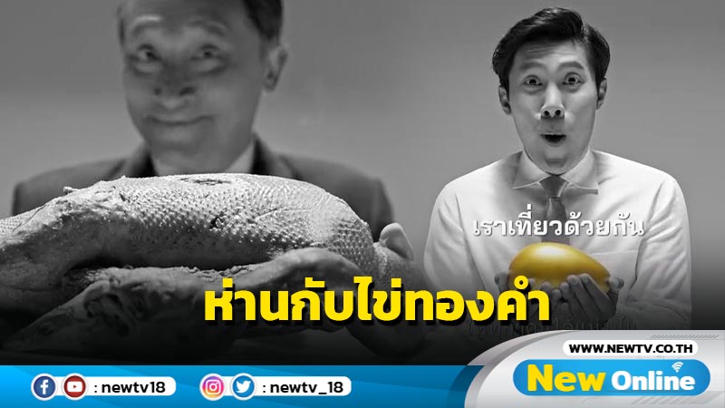 รทสช. ปล่อยคลิป "ห่านกับไข่ทองคำ" 