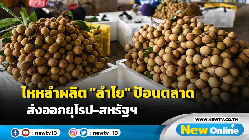 ไหหลำผลิต "ลำไย" ป้อนตลาด ส่งออกยุโรป-สหรัฐฯ