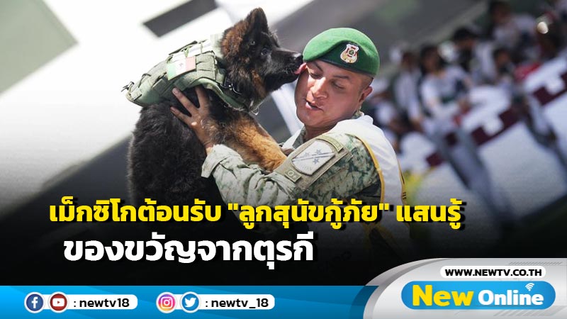 เม็กซิโกต้อนรับ "ลูกสุนัขกู้ภัย" แสนรู้ ของขวัญจากตุรกี