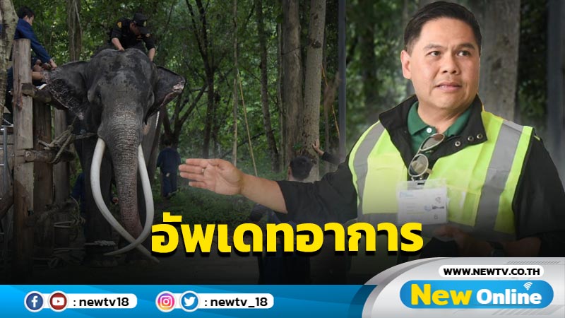 "วราวุธ"อัพเดทอาการ "พลายศักดิ์สุรินทร์" กินอาหารได้ปกติ 