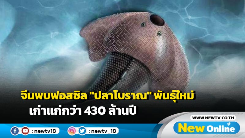 จีนพบฟอสซิล "ปลาโบราณ" พันธุ์ใหม่ เก่าแก่กว่า 430 ล้านปี