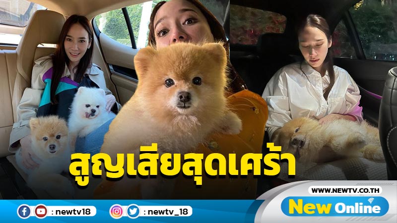 แห่ให้กำลังใจ “อั้ม พัชราภา” หลังเผยเรื่องเศร้าสูญเสีย “ปอมปอม” สุนัขแสนรัก