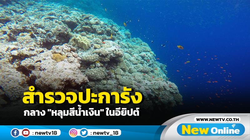 สำรวจปะการังกลาง "หลุมสีน้ำเงิน" ในอียิปต์