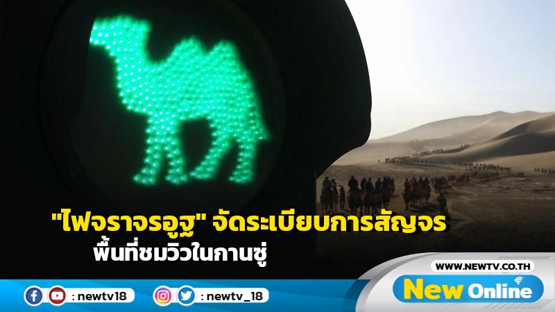 "ไฟจราจรอูฐ" จัดระเบียบการสัญจรพื้นที่ชมวิวในกานซู่