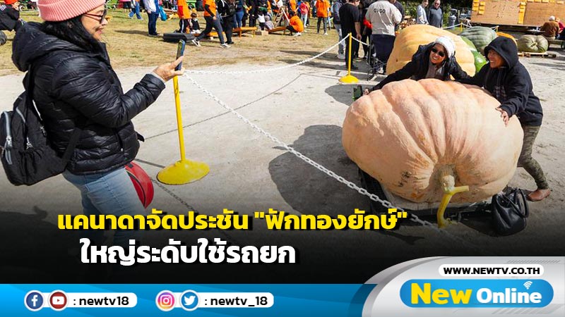 แคนาดาจัดประชัน "ฟักทองยักษ์" ใหญ่ระดับใช้รถยก