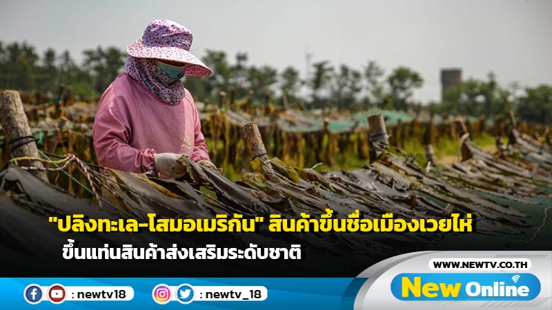 "ปลิงทะเล-โสมอเมริกัน" สินค้าขึ้นชื่อเมืองเวยไห่ ขึ้นแท่นสินค้าส่งเสริมระดับชาติ