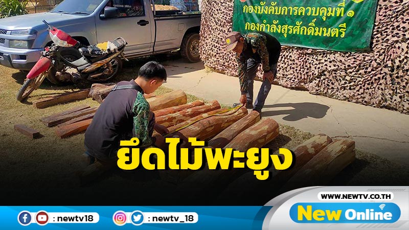 ทหารยึดไม้พะยูงเตรียมส่งประเทศเพื่อนบ้าน (มีคลิป)