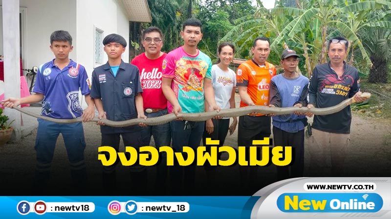 เจ้าของบ้านขนหัวลุกเจอจงอางผัวเมียในโพรงดิน (มีคลิป)