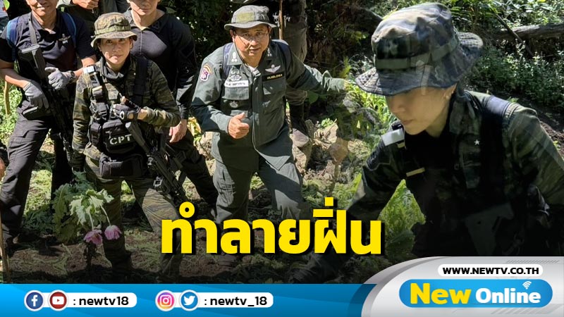 "ตั๊น จิตภัสร์" นำทีม  กมธ. ขึ้นเหนือทำลายแปลงฝิ่น  