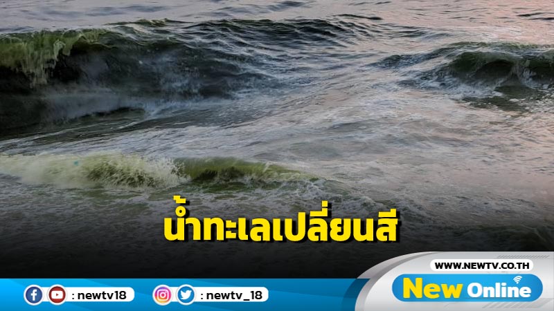 น้ำทะเลเปลี่ยนสีชายหาดบางแสนบางจุดคุณภาพน้ำดีขึ้น